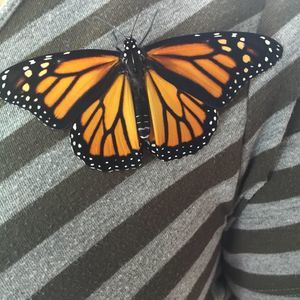 Meet your Posher, Melissa